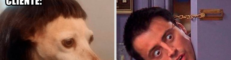 15 Memes que representan bien lo que callan las peluqueras